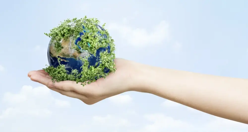 Net Zero Emissions - AKW Consultants