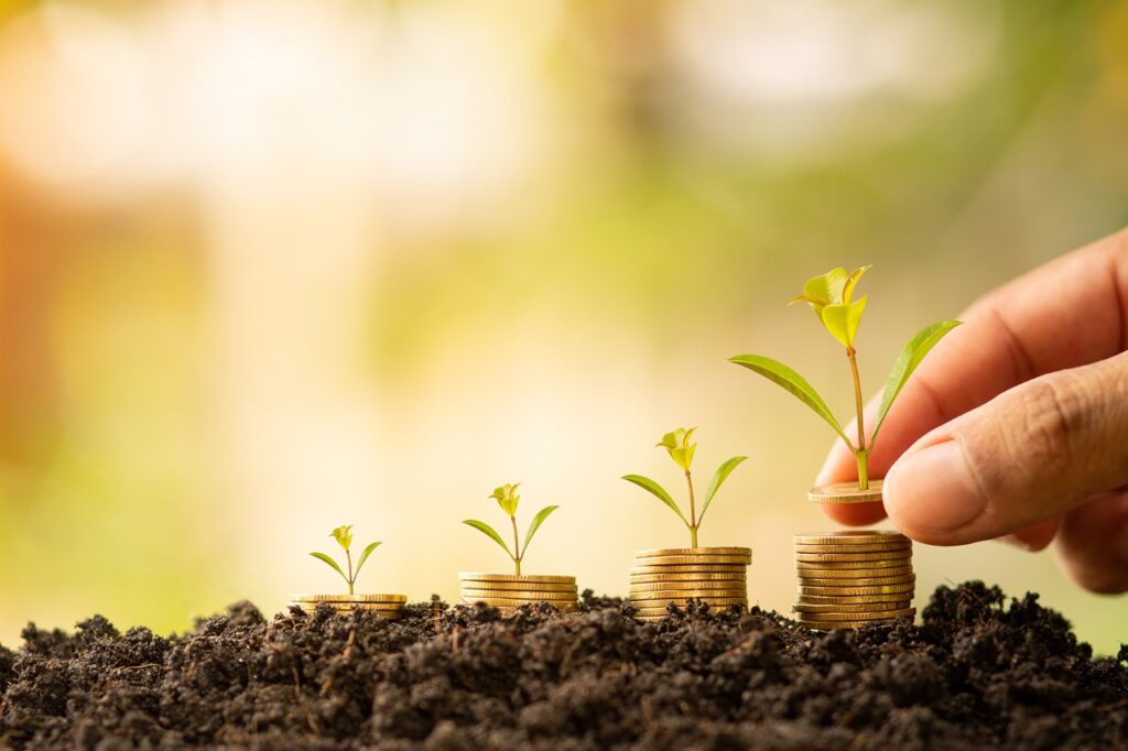 Carbon Offsets Risks and Mitigations