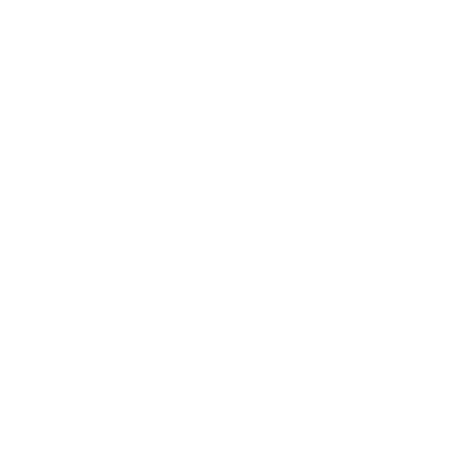Governance