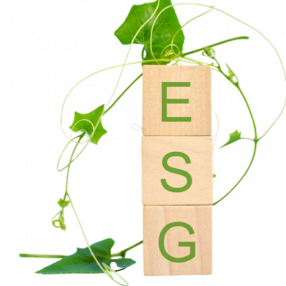 8533387ba4163e37d4e611c2086c3c917e2e4f67